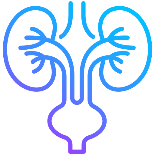 Best Kidney & Urology in Uruli Kanchan Pune Primeplus Hospital